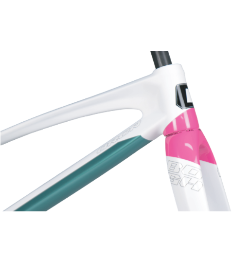 Orca Carbon frame set - Mini - PINK GREEN 2027