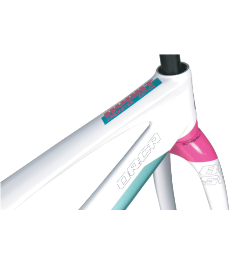 Orca Carbon frame set - Mini - PINK GREEN 2027